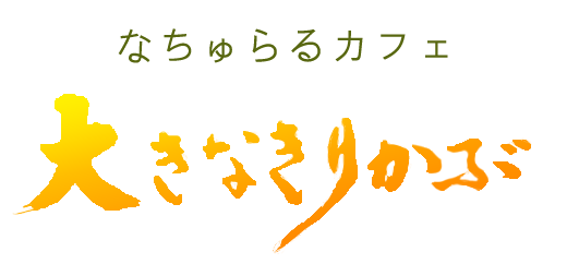 マヤ暦 生まれてきた目的 子育てにも有効な マヤの叡智 パート２ なちゅらるカフェ 大きなきりかぶ 岐阜県可児市